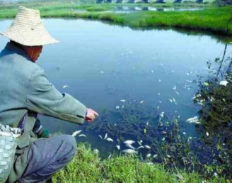 1660287305502937.png image.png